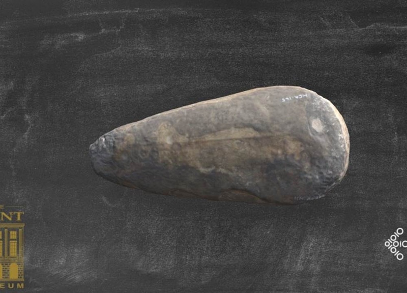 Thumb 1