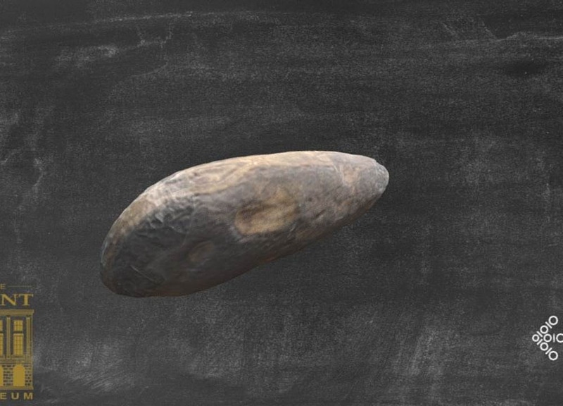 Thumb 6