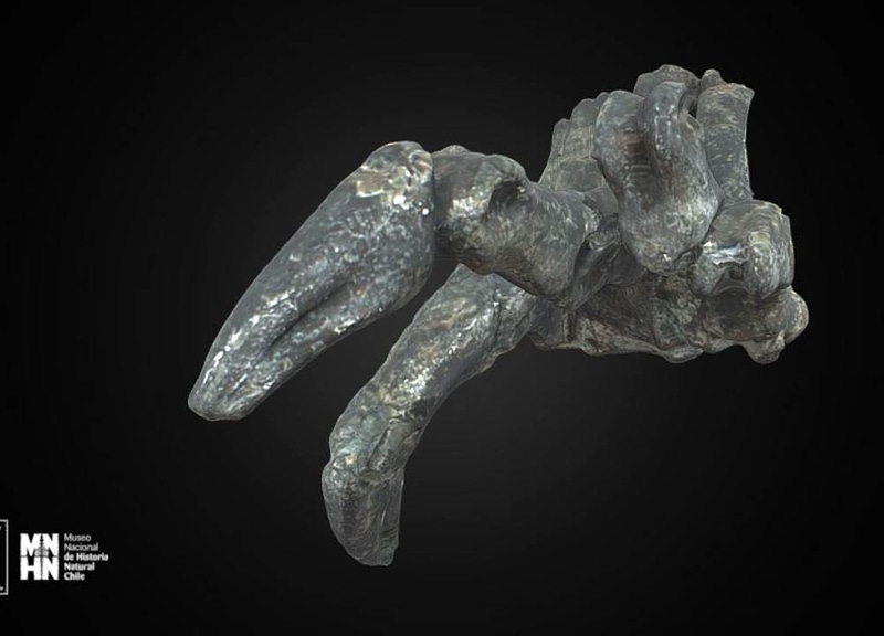 Thumb 4