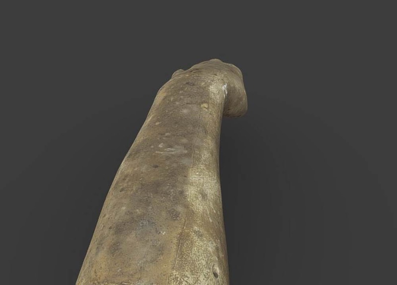 Thumb 6