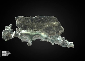 image_processing20200609-5016-i9ygw3.jpeg
