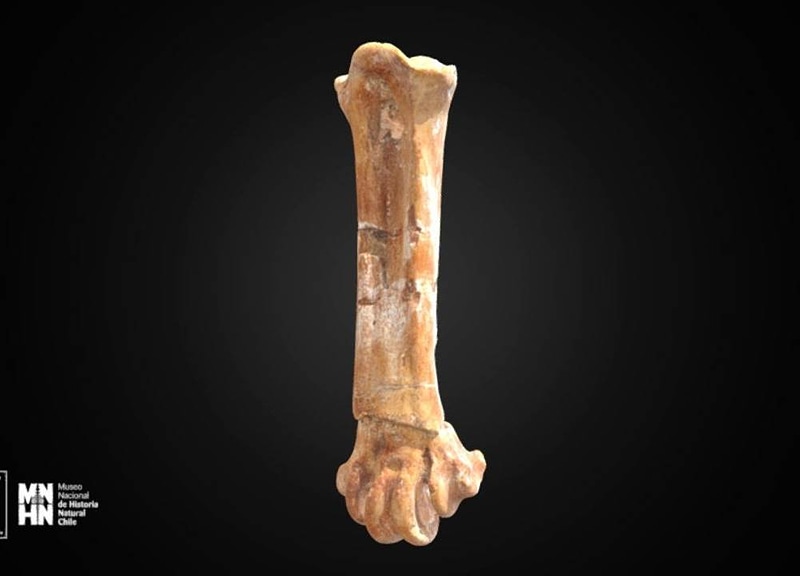 Thumb 1