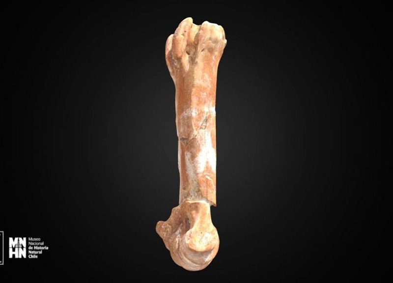 Thumb 10