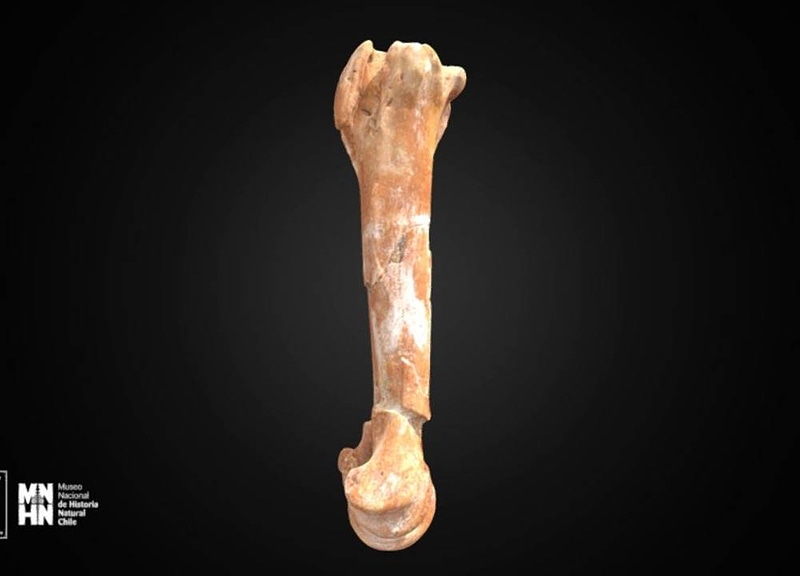 Thumb 11