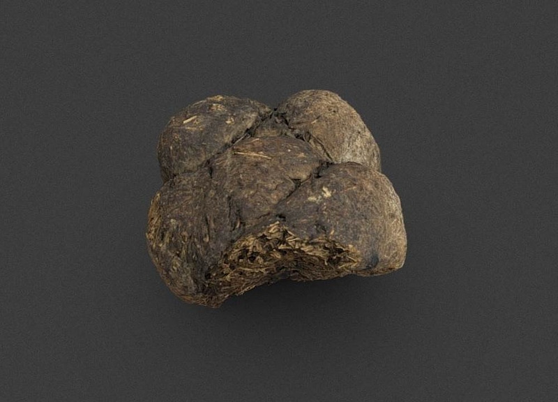 Thumb 9