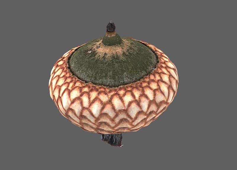 Thumb 5