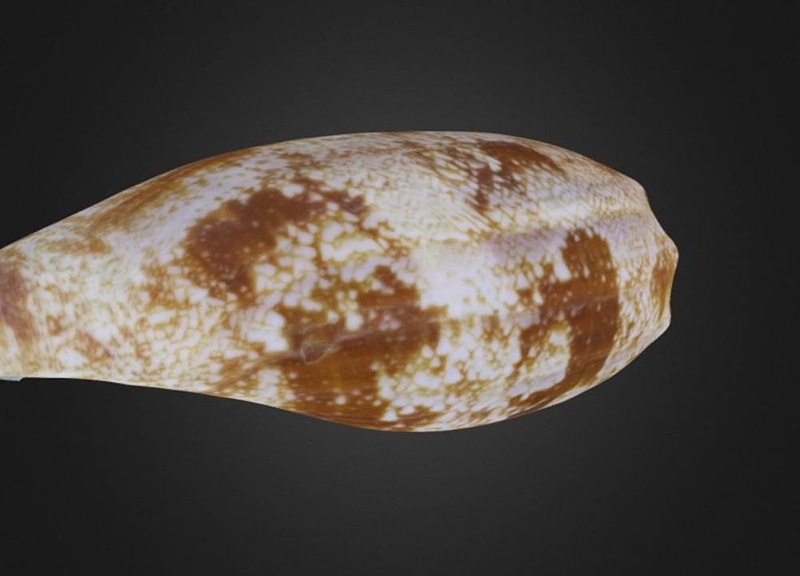 Thumb 7