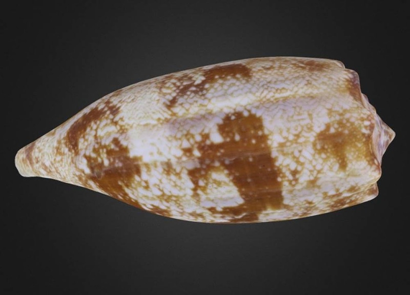 Thumb 9