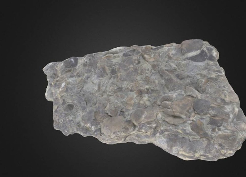 Thumb 1
