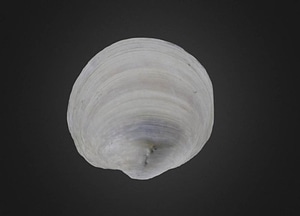 image_processing20200609-16312-zkijuy.jpeg
