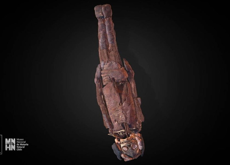 Thumb 7