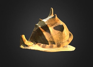 image_processing20200609-10339-1vo86t0.jpeg