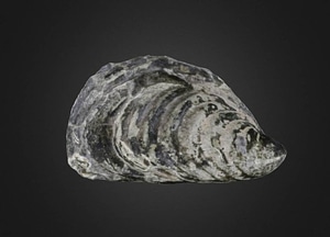 image_processing20200609-10339-nmzsqb.jpeg