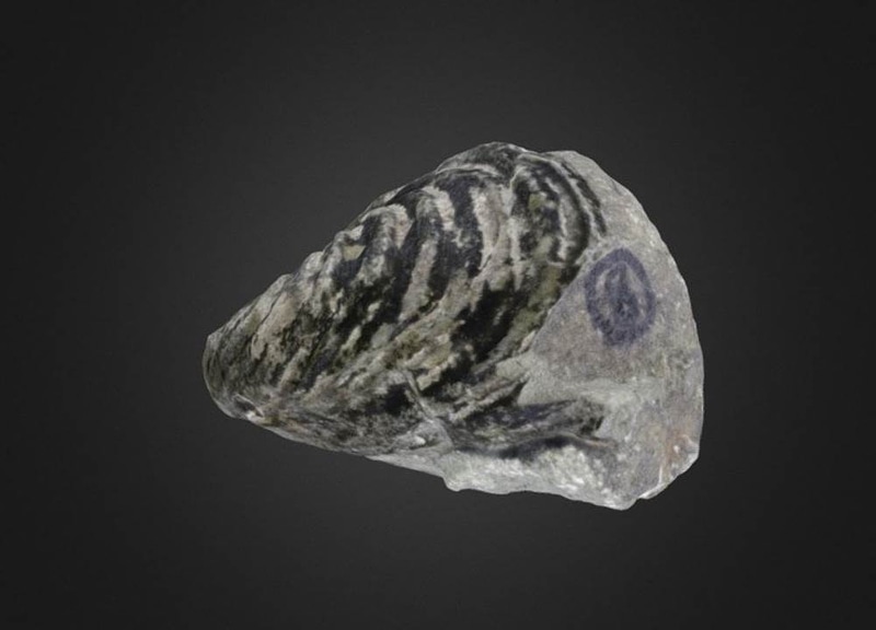 Thumb 9