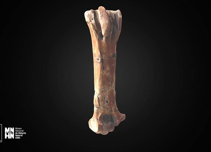 Thumb 6