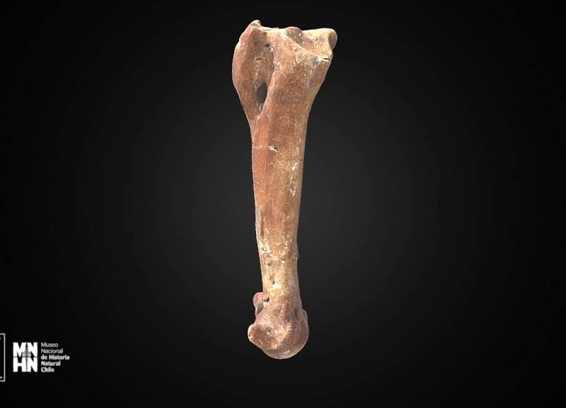 Thumb 11
