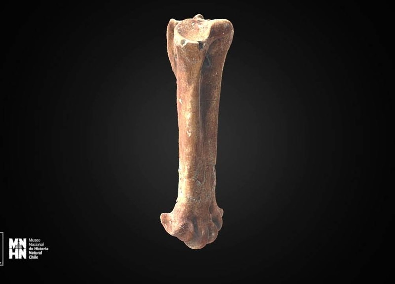 Thumb 13
