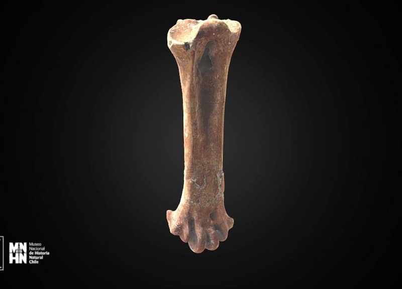 Thumb 14
