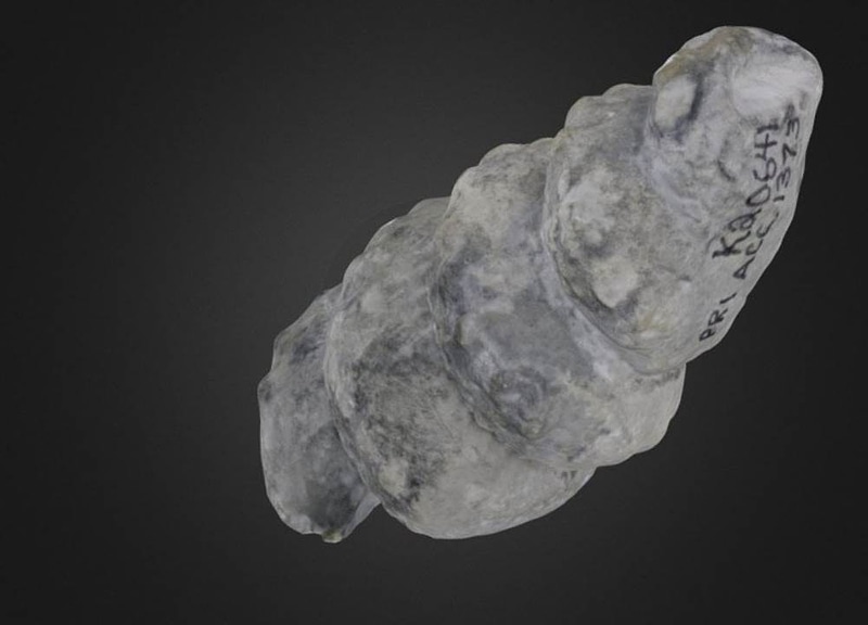 Thumb 9