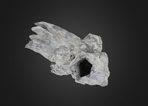 image_processing20200609-16312-1myn4q8.jpeg
