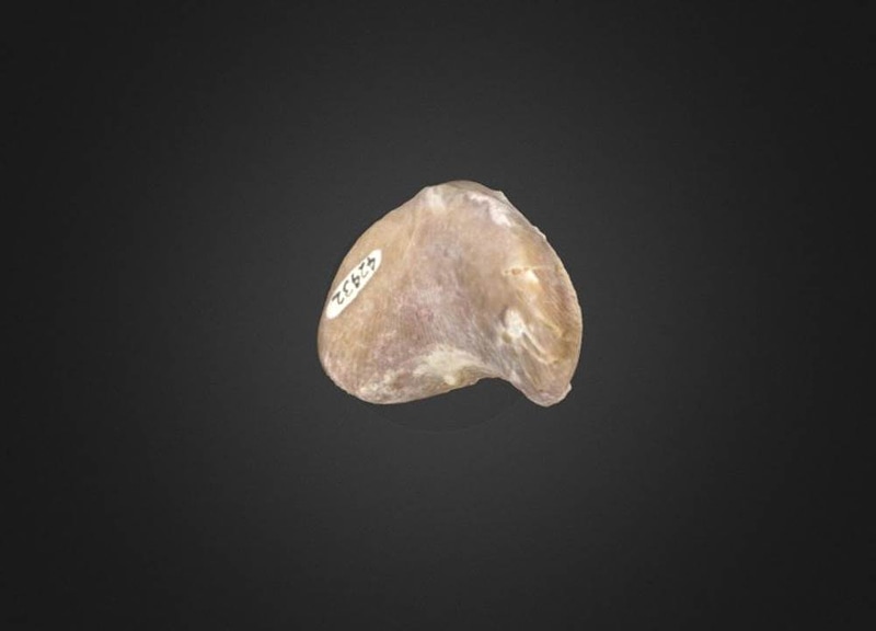 Thumb 9