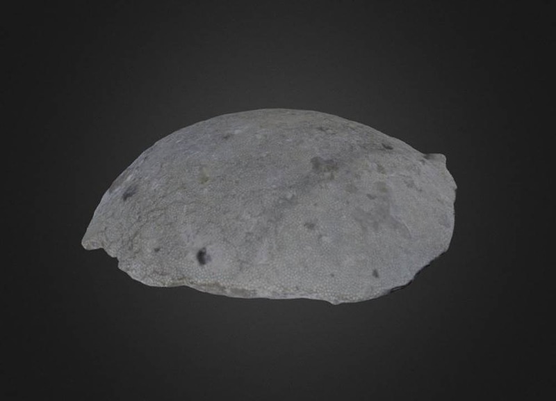 Thumb 9