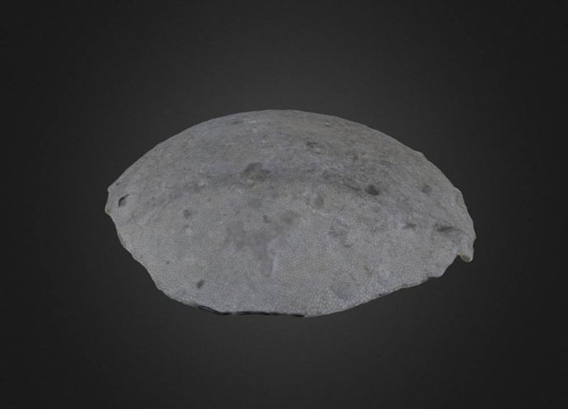 Thumb 11