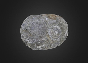image_processing20200609-7101-1cckmos.jpeg