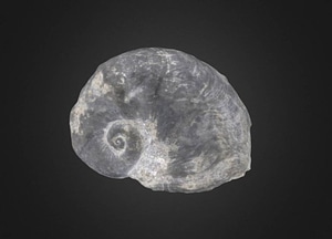 image_processing20200609-13082-1ybxfn2.jpeg