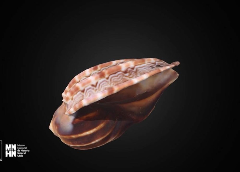 Thumb 10