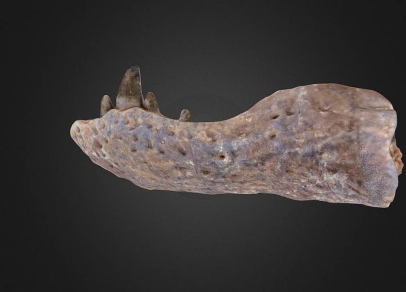 Thumb 1