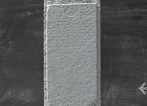 image_processing20200609-5600-r3qv9e.jpeg