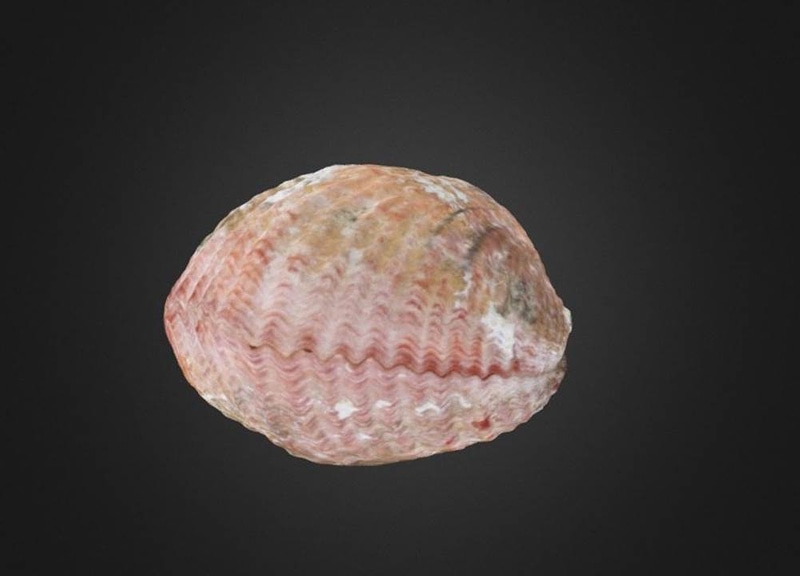 Thumb 6