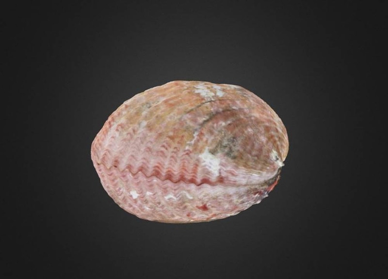 Thumb 7