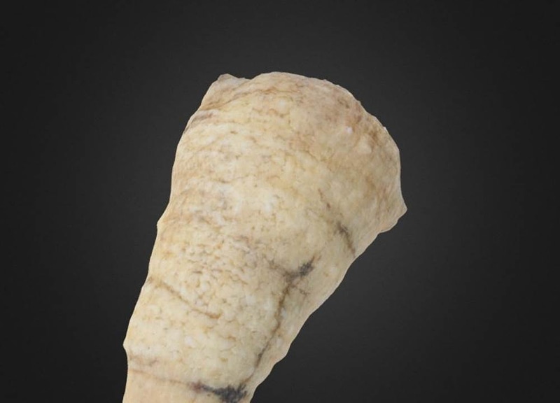 Thumb 11
