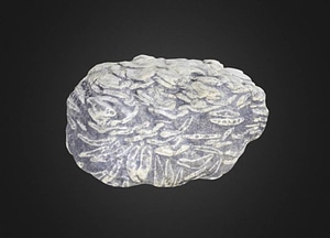image_processing20200609-7811-1xislho.jpeg