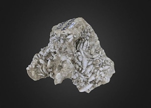 image_processing20200609-20298-3cgqu8.jpeg