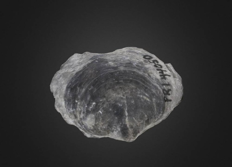 Thumb 9