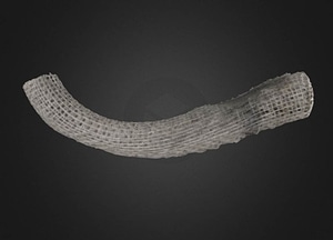 image_processing20200609-20298-8ijam.jpeg