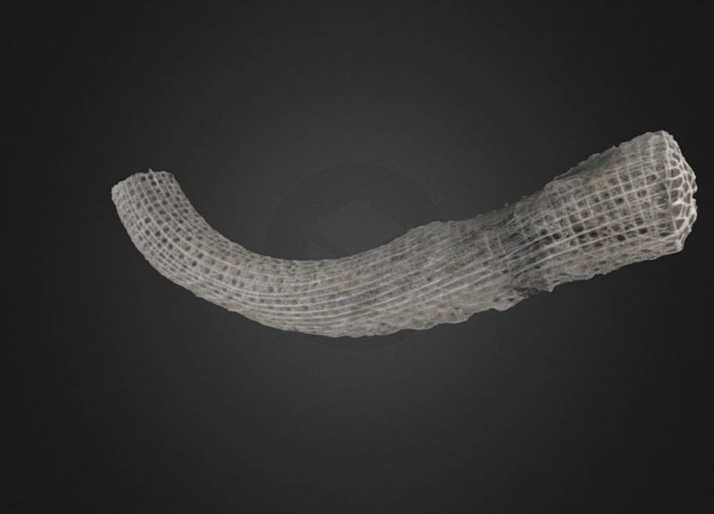 Thumb 1