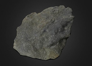 image_processing20200609-20298-1ng7551.jpeg