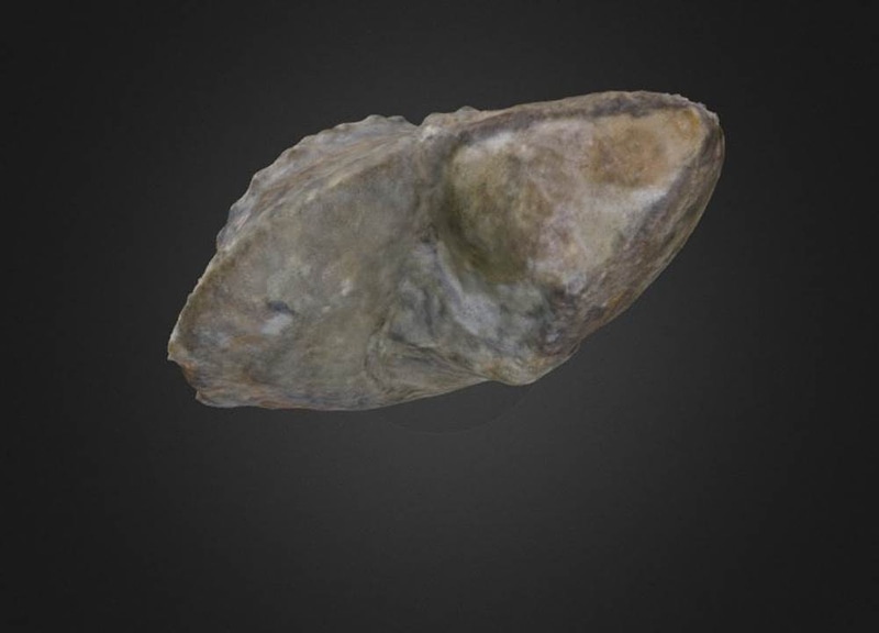 Thumb 8