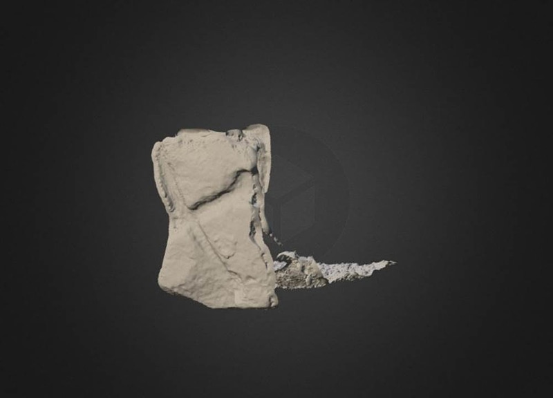 Thumb 1