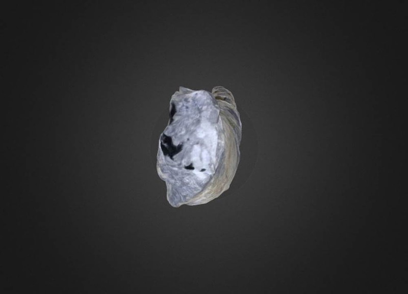 Thumb 12