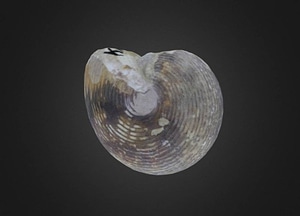 image_processing20200609-25017-100zu9.jpeg