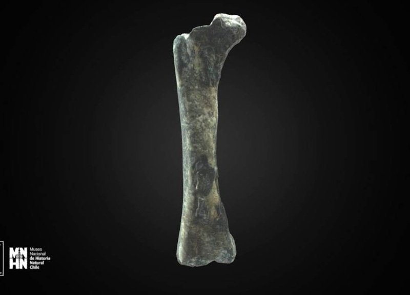 Thumb 1