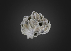 image_processing20200609-25017-ahoxo1.jpeg