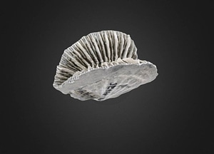 image_processing20200609-22952-13xq6s6.jpeg