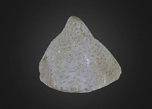image_processing20200609-22952-oip3xo.jpeg