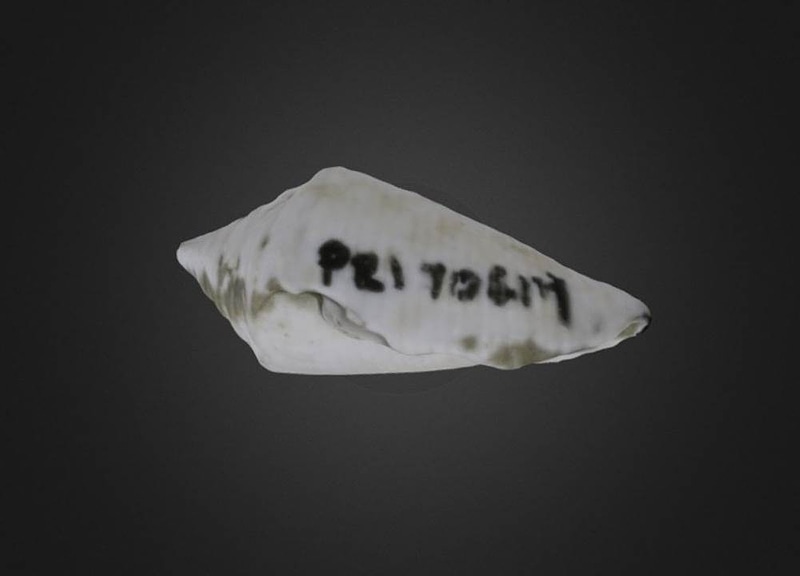 Thumb 1